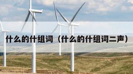 什么的什组词（什么的什组词二声）