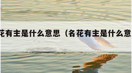 名花有主是什么意思（名花有主是什么意思?）