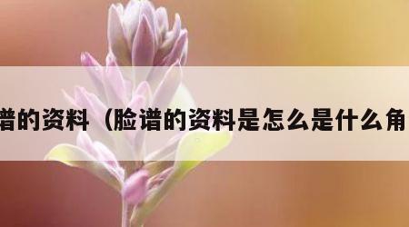 脸谱的资料（脸谱的资料是怎么是什么角色）
