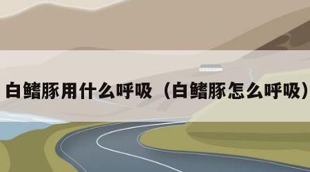白鳍豚用什么呼吸（白鳍豚怎么呼吸）
