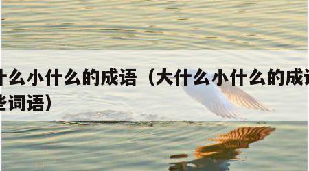 大什么小什么的成语（大什么小什么的成语有哪些词语）