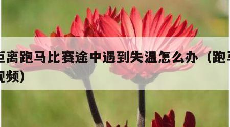 长距离跑马比赛途中遇到失温怎么办（跑马比赛视频）