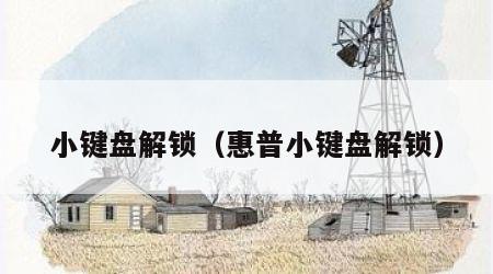 小键盘解锁（惠普小键盘解锁）