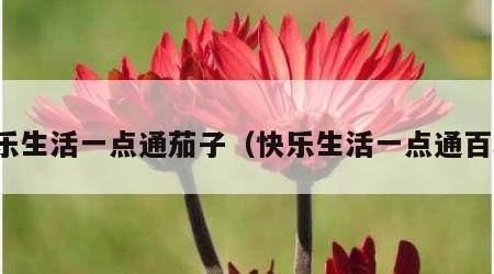 快乐生活一点通茄子（快乐生活一点通百科）