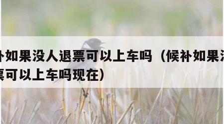 候补如果没人退票可以上车吗（候补如果没人退票可以上车吗现在）
