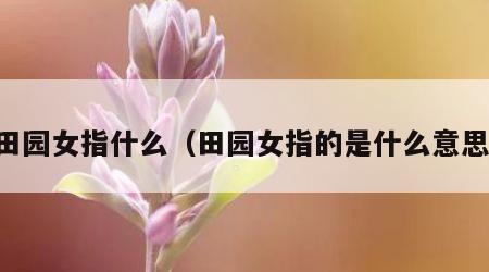 田园女指什么（田园女指的是什么意思）