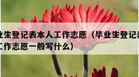 毕业生登记表本人工作志愿（毕业生登记表本人工作志愿一般写什么）
