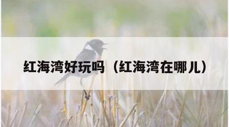 红海湾好玩吗（红海湾在哪儿）