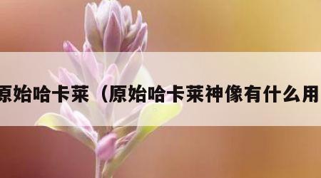 原始哈卡莱（原始哈卡莱神像有什么用）