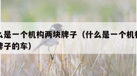 什么是一个机构两块牌子（什么是一个机构两块牌子的车）