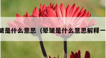 晕皱是什么意思（晕皱是什么意思解释一下）
