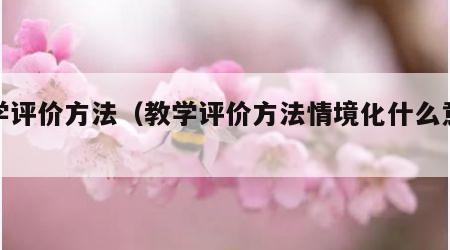 教学评价方法（教学评价方法情境化什么意思）
