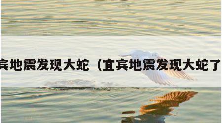 宜宾地震发现大蛇(宜宾地震发现大蛇了吗)