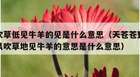 风吹草低见牛羊的见是什么意思（天苍苍野茫茫风吹草地见牛羊的意思是什么意思）