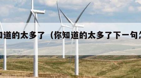 你知道的太多了（你知道的太多了下一句怎么接）