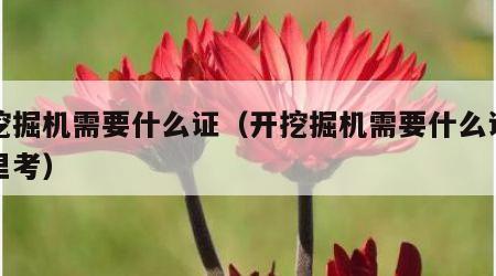开挖掘机需要什么证（开挖掘机需要什么证在哪里考）