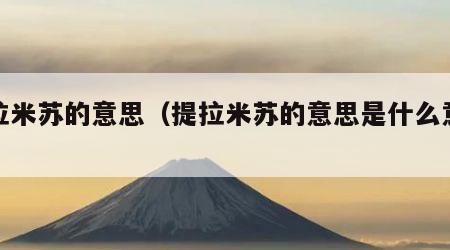 提拉米苏的意思（提拉米苏的意思是什么意思）
