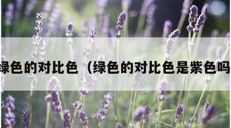 绿色的对比色（绿色的对比色是紫色吗）