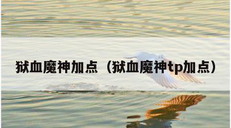 狱血魔神加点（狱血魔神tp加点）