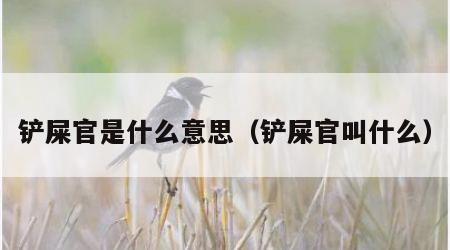 铲屎官是什么意思（铲屎官叫什么）