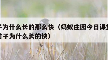 竹子为什么长的那么快（蚂蚁庄园今日课堂答题竹子为什么长的快）