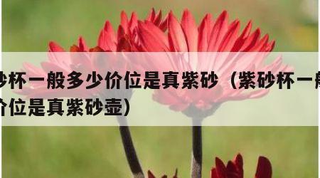 紫砂杯一般多少价位是真紫砂（紫砂杯一般多少价位是真紫砂壶）