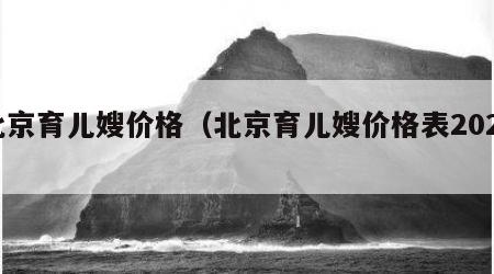 北京育儿嫂价格（北京育儿嫂价格表2023）