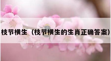 枝节横生（枝节横生的生肖正确答案）