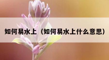 如何易水上（如何易水上什么意思）