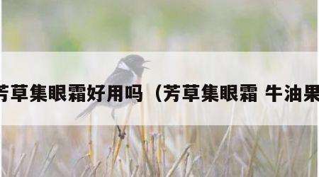 芳草集眼霜好用吗（芳草集眼霜 牛油果）