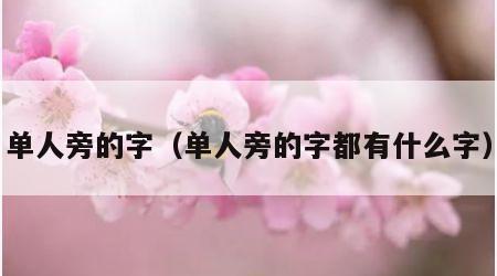 单人旁的字（单人旁的字都有什么字）