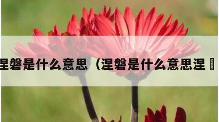 涅磐是什么意思（涅磐是什么意思涅槃）