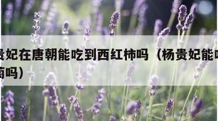 杨贵妃在唐朝能吃到西红柿吗（杨贵妃能吃到葡萄吗）