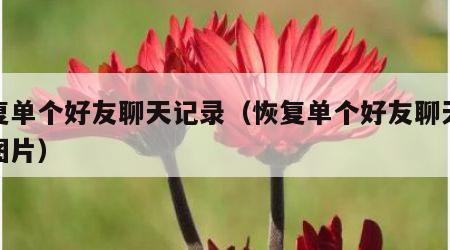 恢复单个好友聊天记录（恢复单个好友聊天记录图片）