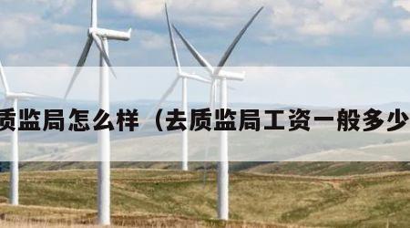质监局怎么样（去质监局工资一般多少）