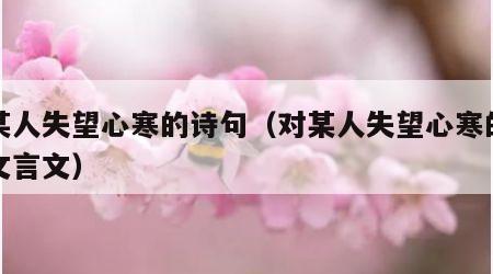 对某人失望心寒的诗句（对某人失望心寒的诗句文言文）