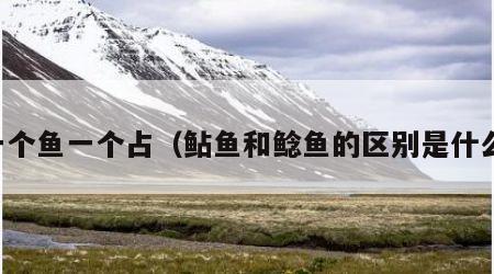 一个鱼一个占（鲇鱼和鲶鱼的区别是什么）