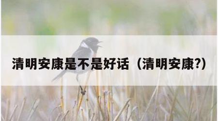 清明安康是不是好话（清明安康?）