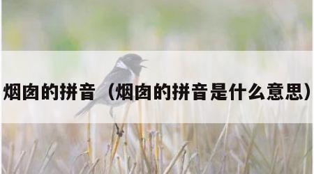 烟囱的拼音（烟囱的拼音是什么意思）