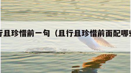 且行且珍惜前一句（且行且珍惜前面配哪些话）
