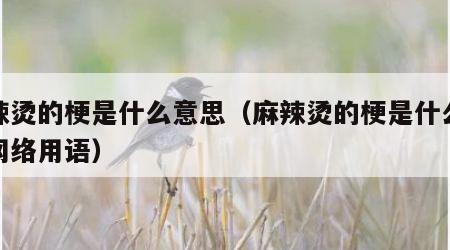 麻辣烫的梗是什么意思（麻辣烫的梗是什么意思网络用语）