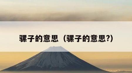 骡子的意思（骡子的意思?）