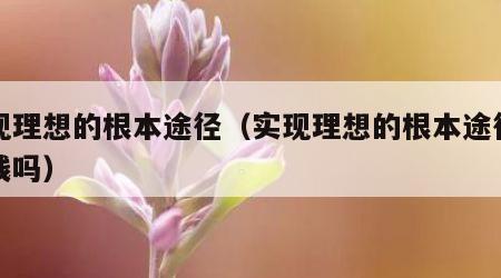 实现理想的根本途径（实现理想的根本途径是实践吗）