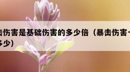 暴击伤害是基础伤害的多少倍（暴击伤害一般是多少）