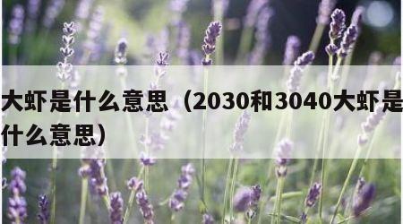 大虾是什么意思（2030和3040大虾是什么意思）