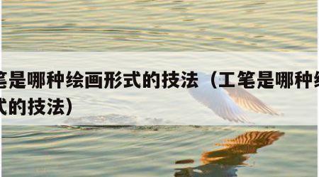 工笔是哪种绘画形式的技法（工笔是哪种绘画方式的技法）