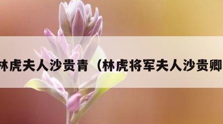 林虎夫人沙贵青(林虎将军夫人沙贵卿)