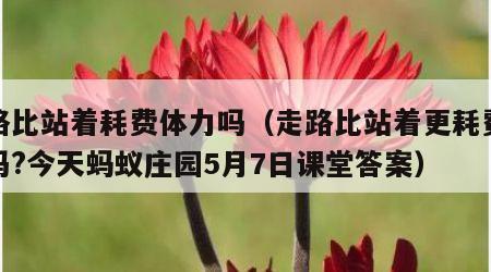 走路比站着耗费体力吗（走路比站着更耗费体力吗?今天蚂蚁庄园5月7日课堂答案）
