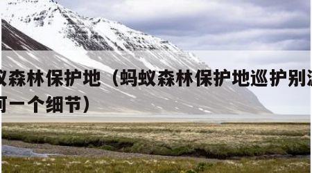 蚂蚁森林保护地（蚂蚁森林保护地巡护别漏掉任何一个细节）