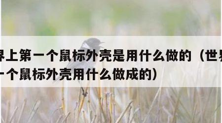 世界上第一个鼠标外壳是用什么做的（世界上第一个鼠标外壳用什么做成的）